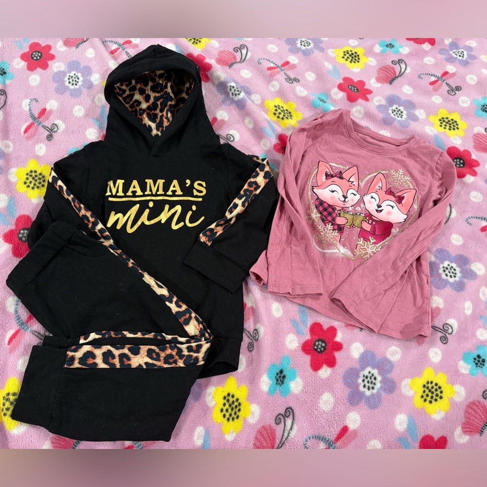 Toddler Girl 3T Winter Shirt & Matching Set Bundle